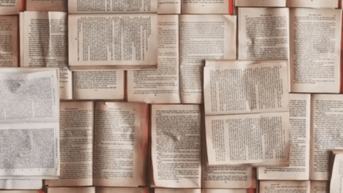 ¿A qué poetas españolas deberíamos haber leído ya?