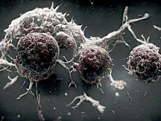 Salud 2022: nuevas armas para el arsenal contra el cáncer