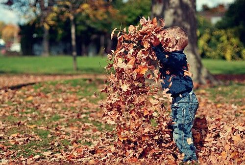 Así fomentan los patios ‘verdes’ la curiosidad científica
