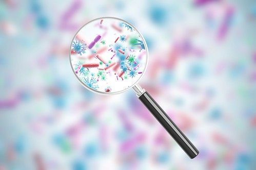 El mayor estudio para entender cómo compartimos bacterias entre nosotros