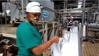 Sector agrícola santiaguero suma tantos a las exportaciones
